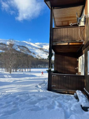 Leilighet med fin uteplass!